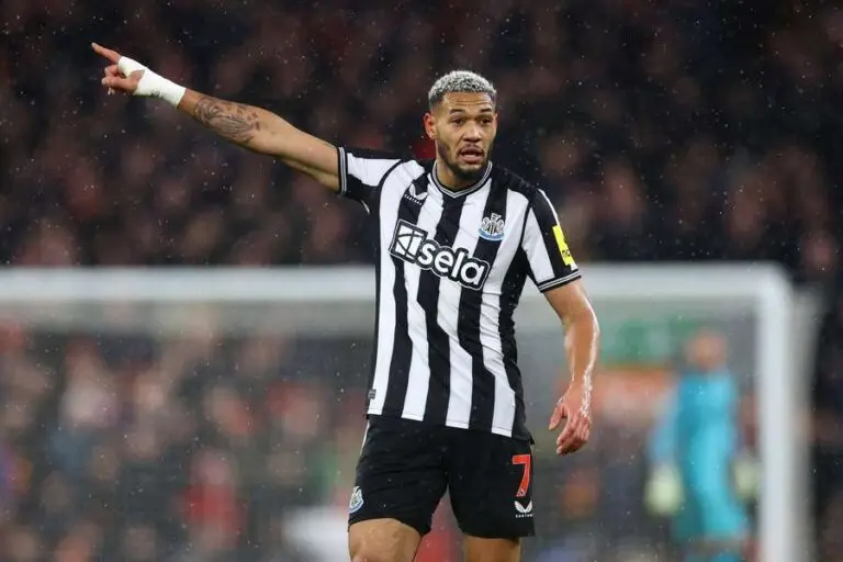 joelinton-148.jpeg