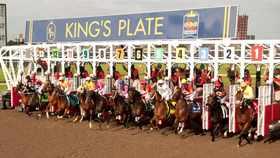 Kings Plate 2025: The Horses to Watch