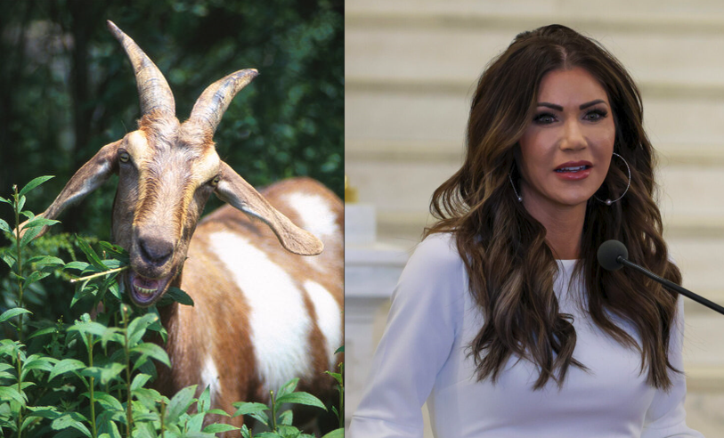 kristi-noem-dog-shooting-166.png