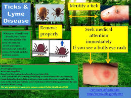 lyme-disease-0.jpeg