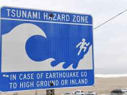 mega-tsunami-warning-21.jpeg