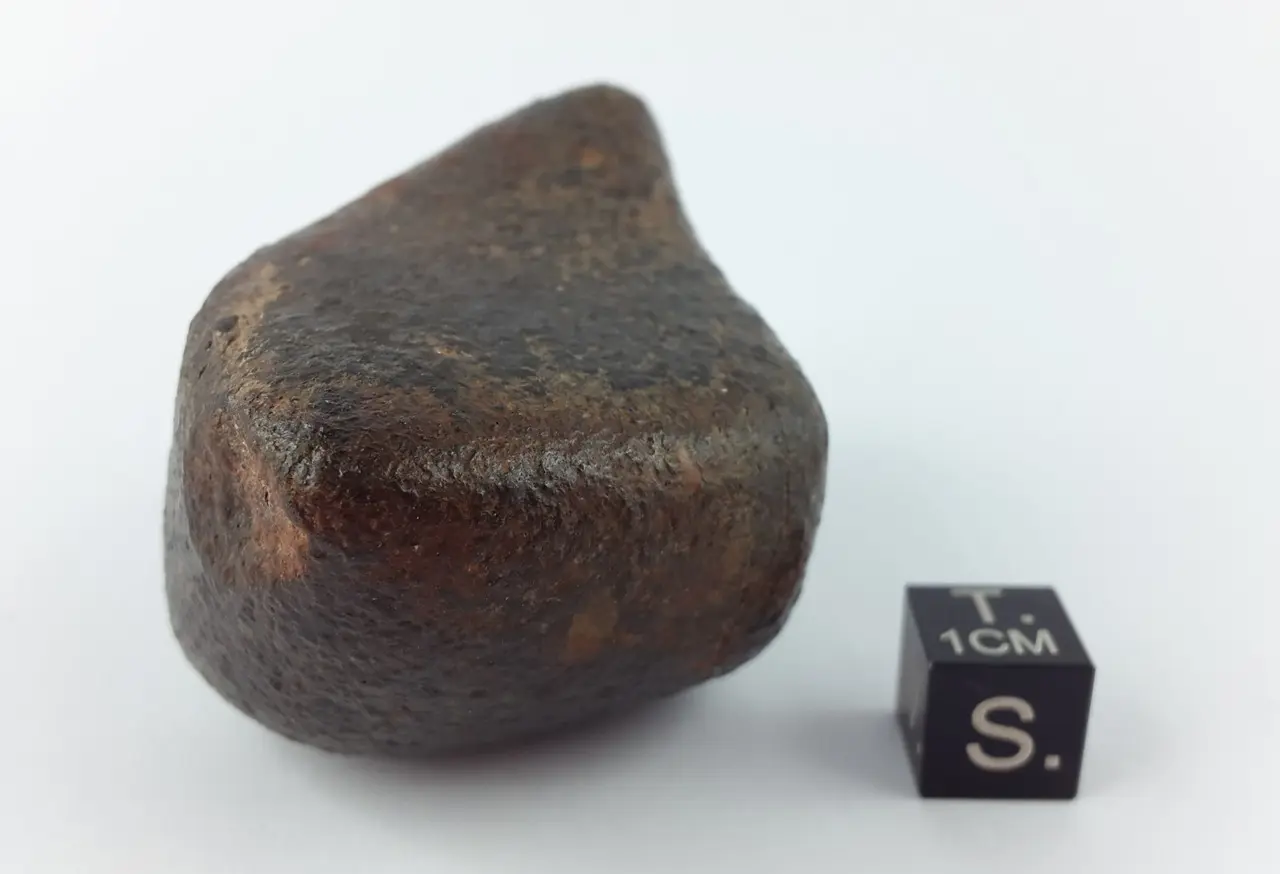 The Fascinating World of Meteorites image 1