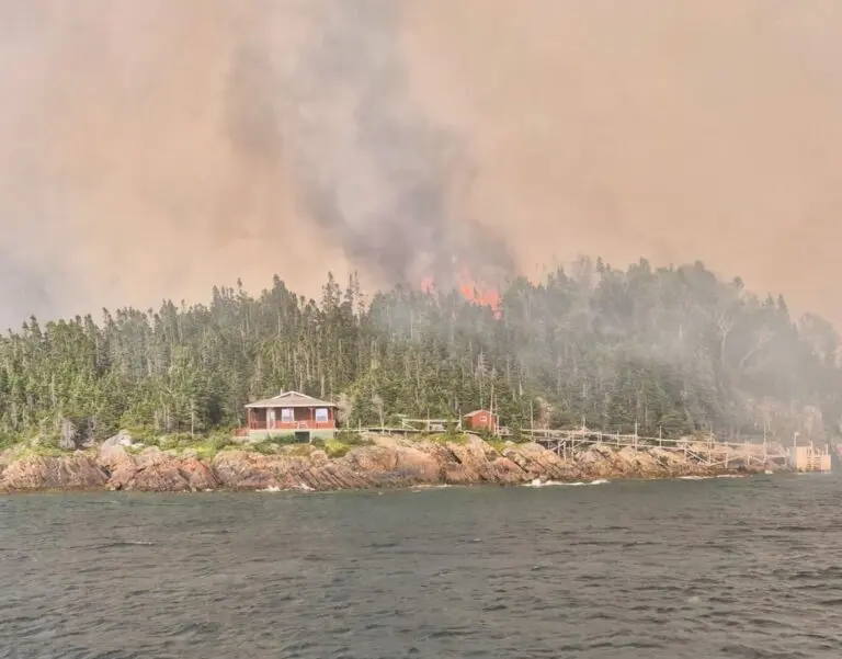 newfoundland-fires-76.jpeg