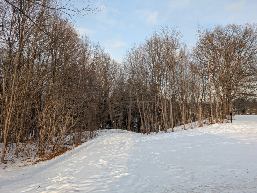 oakville-weather-74.jpeg