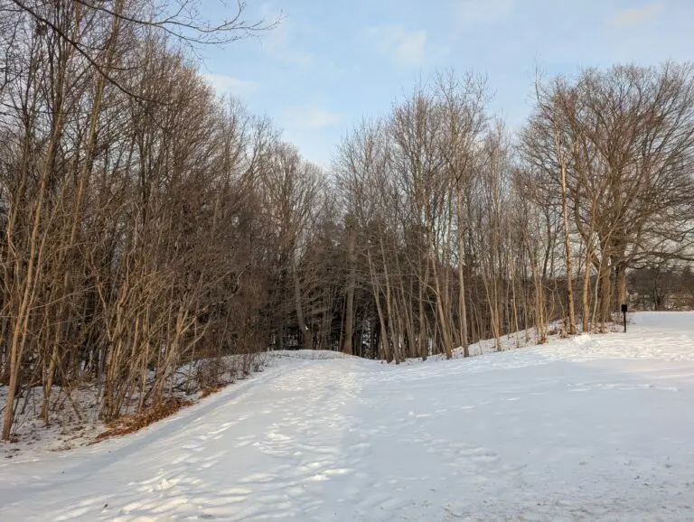 oakville-weather-74.jpeg