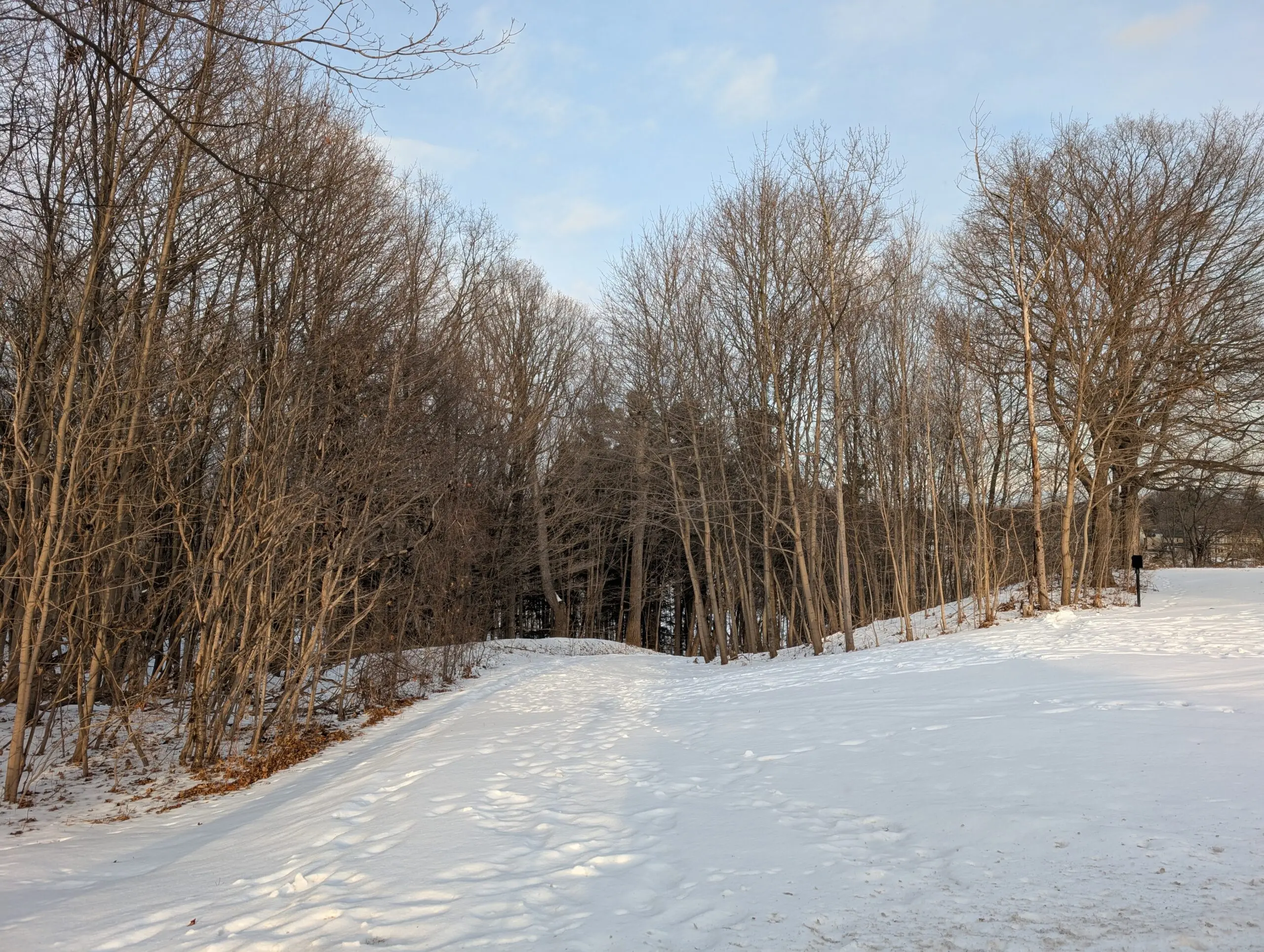 Oakville Weather: Current Conditions and Forecast