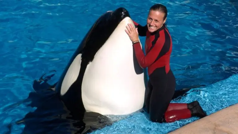 orca-killed-trainer-30.jpeg