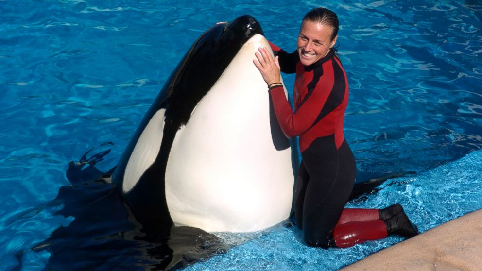 orca-killed-trainer-30.jpeg