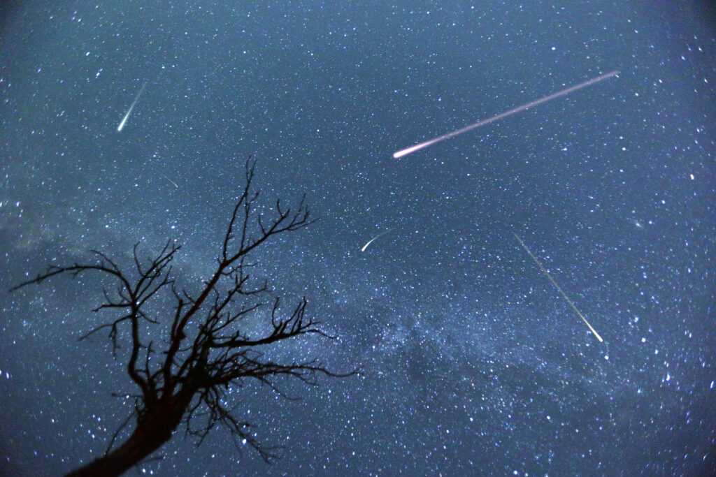perseids-meteor-shower-69.jpeg