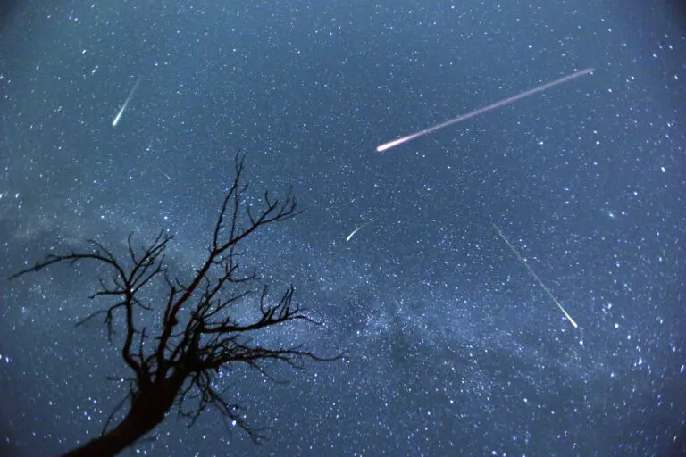 perseids-meteor-shower-69.jpeg