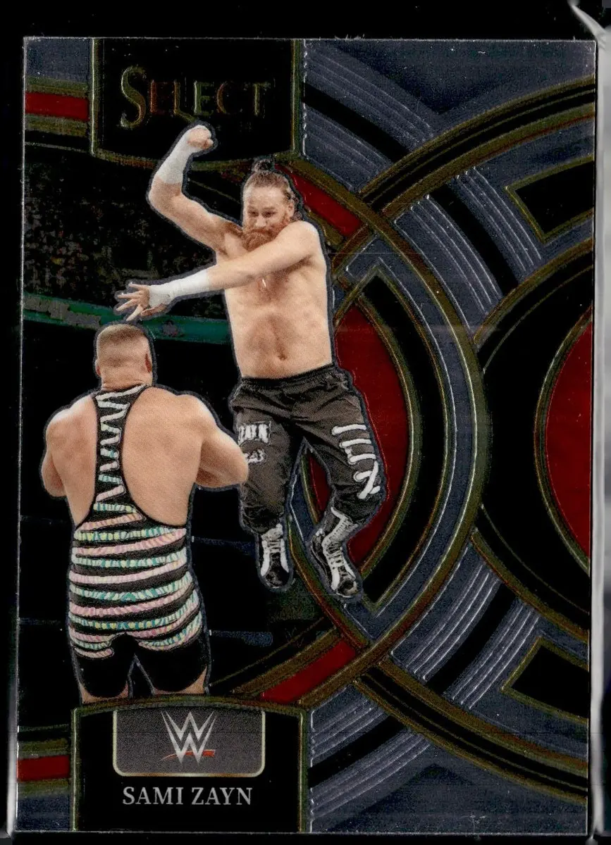 The Career and Impact of Sami Zayn in Professional Wrestling image 1