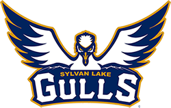 sylvan-lake-gulls-184.png