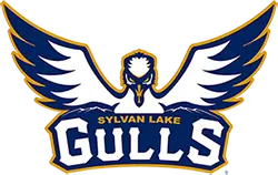 sylvan-lake-gulls-184.png