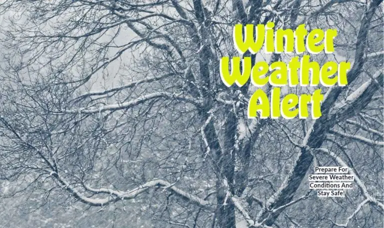 toronto-weather-29.jpeg