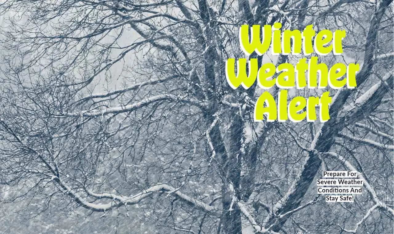 Latest Updates on Toronto Weather: November 2023 Forecast