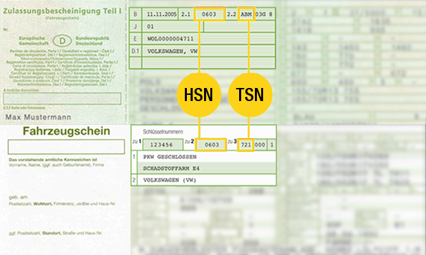 tsn-101.png