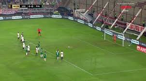 universitario-vs-palmeiras-77.jpeg