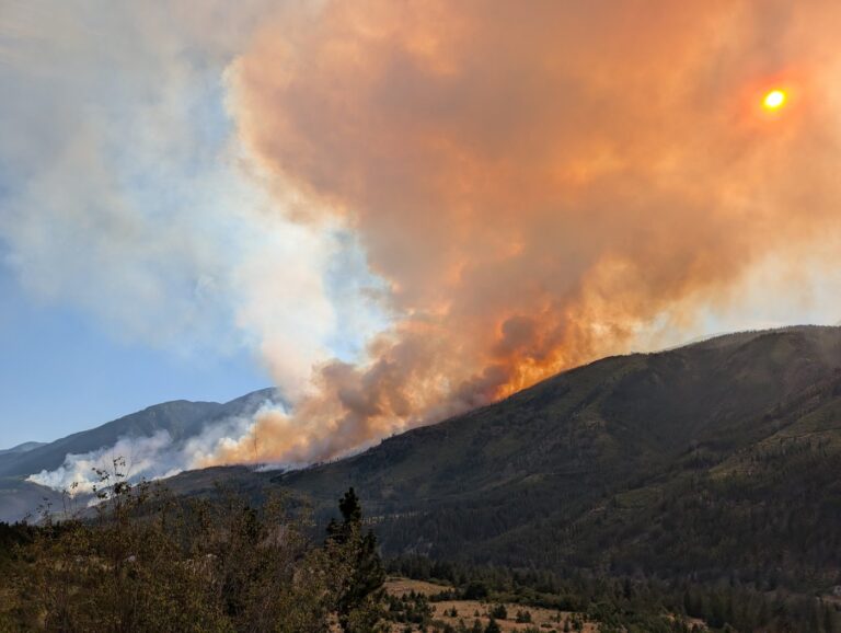 vancouver-island-fire-14.jpeg