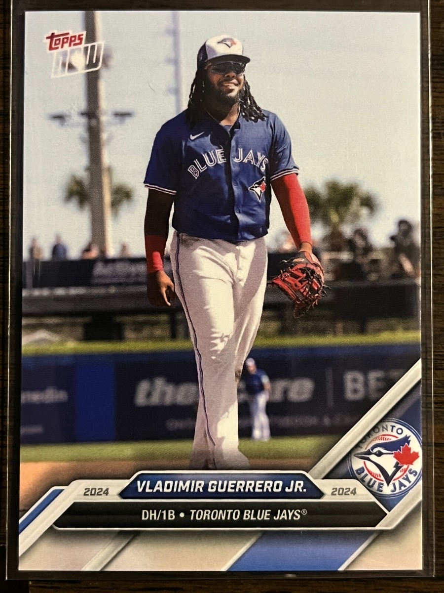 vladimir-guerrero-jr-41.jpeg