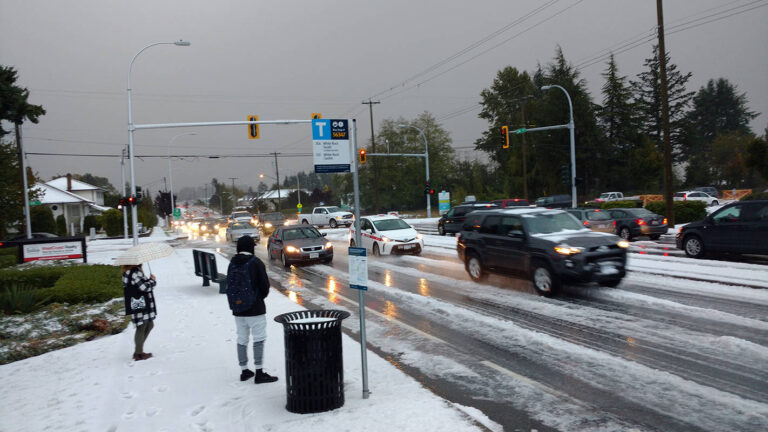 weather-surrey-185.jpeg