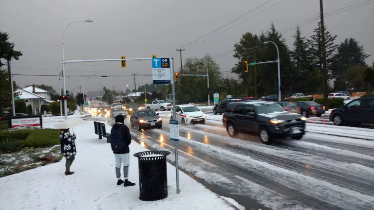 weather-surrey-185.jpeg