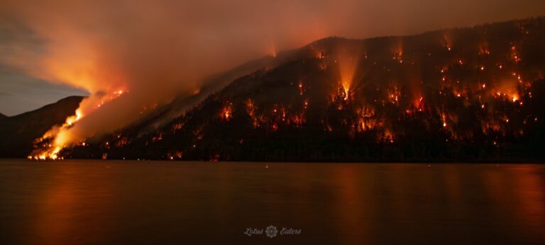 wesley-ridge-fire-update-67.jpeg