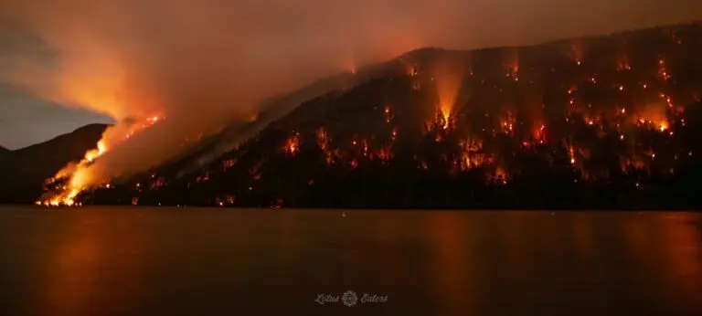 wesley-ridge-fire-update-67.jpeg