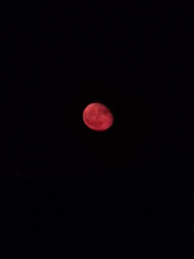 why-is-the-moon-red-tonight-60.jpeg