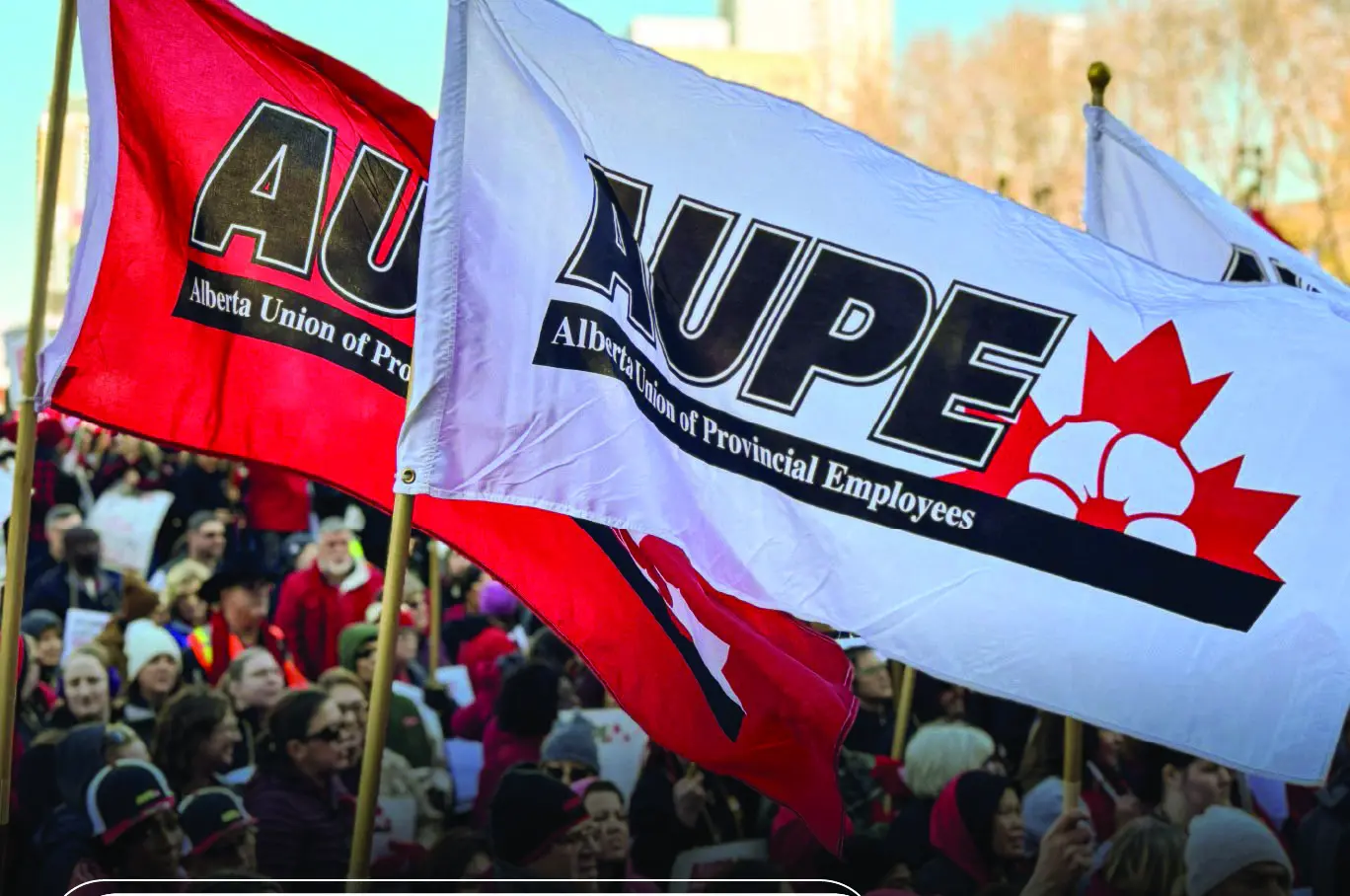 Recent Developments with the Alberta Union of Provincial Employees image 1