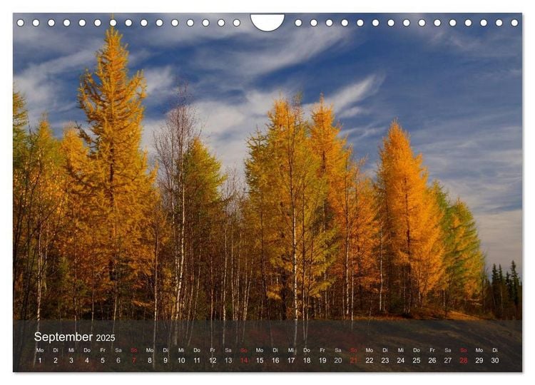 automne-2025-32.jpeg