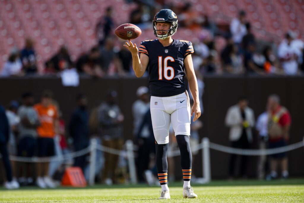 bears-16.jpeg