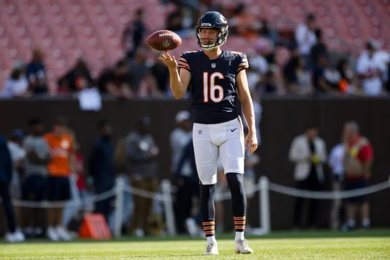 bears-16.jpeg