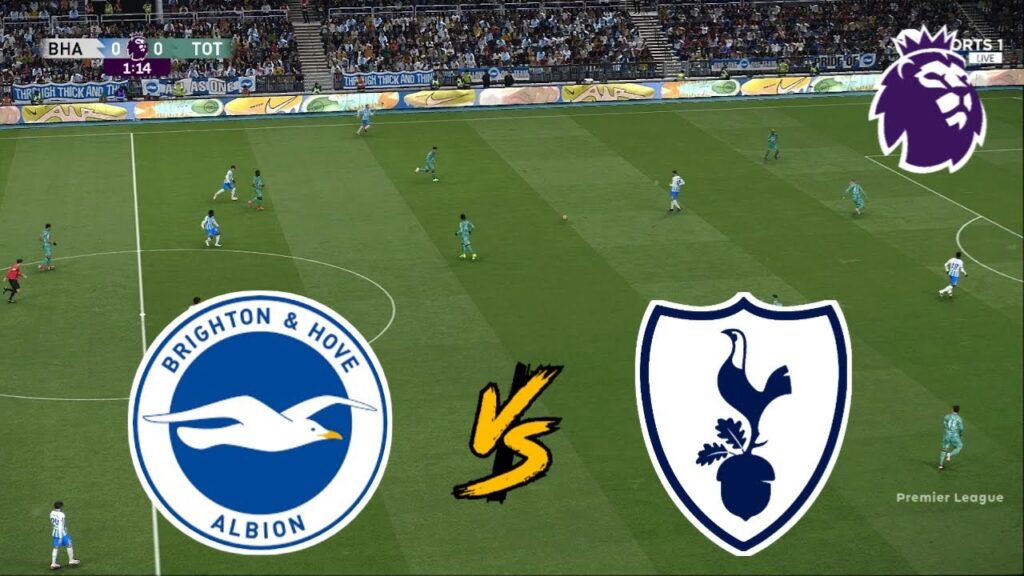 brighton-vs-tottenham-14.jpeg