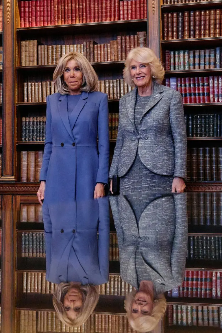 brigitte-macron-17.jpeg