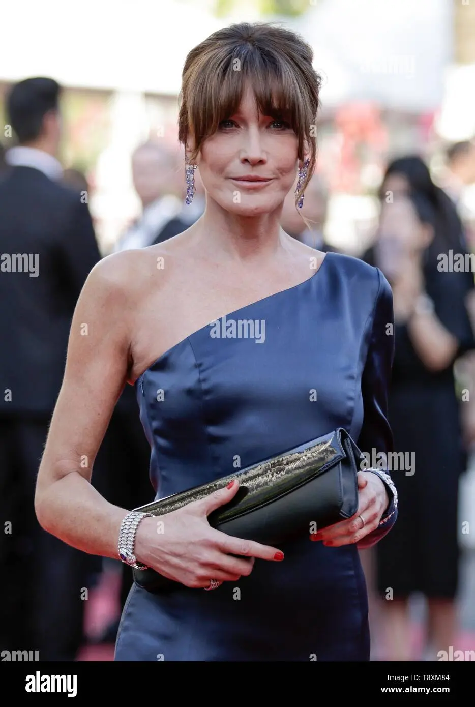 The Life and Career of Carla Bruni image 1