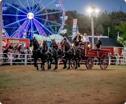carp-fair-21.jpeg