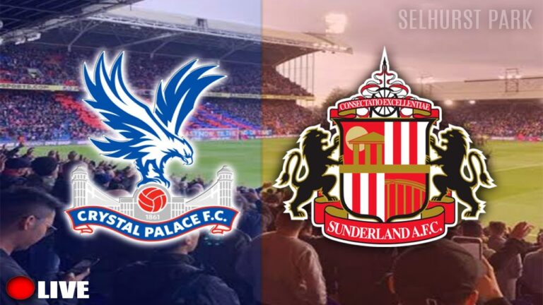 crystal-palace-vs-sunderland-28.jpeg