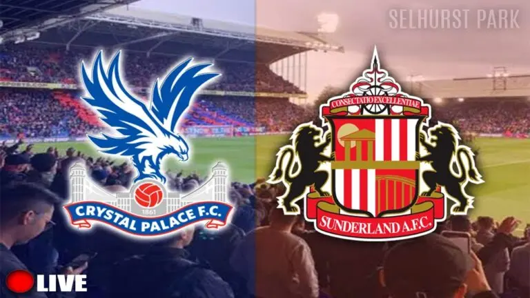 crystal-palace-vs-sunderland-28.jpeg