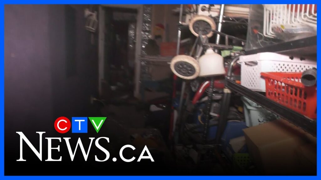 ctv-news-edmonton-256.jpeg