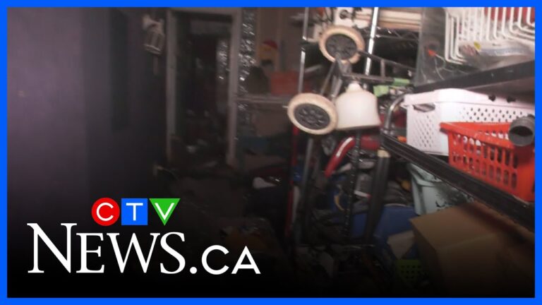 ctv-news-edmonton-256.jpeg