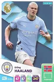 erling-haaland-241.jpeg
