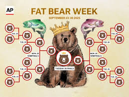 fat-bear-week-29.jpeg