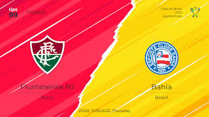 fluminense-vs-bahia-130.jpeg