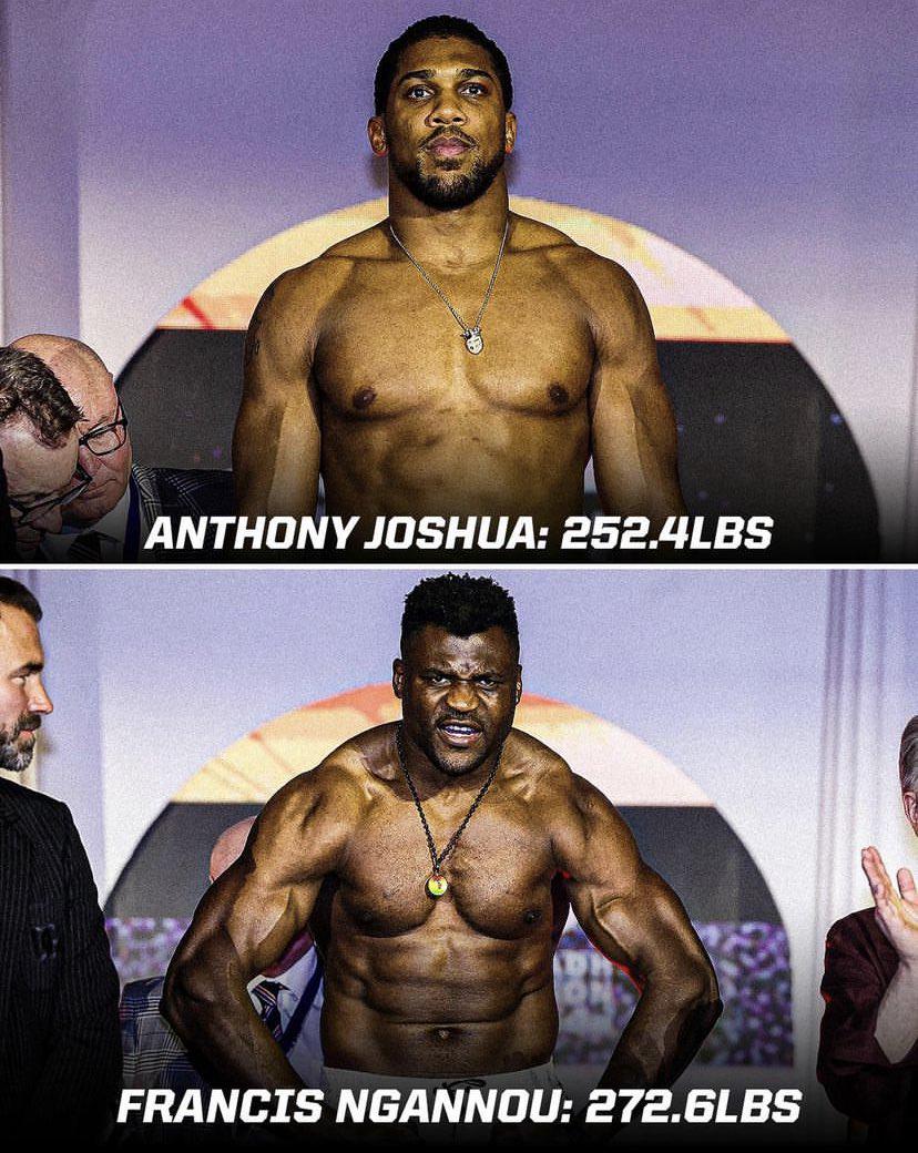 francis-ngannou-155.jpeg