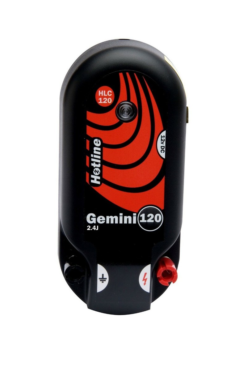 gemini-120.jpeg
