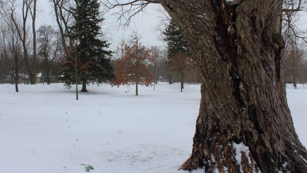 guelph-weather-124.jpeg