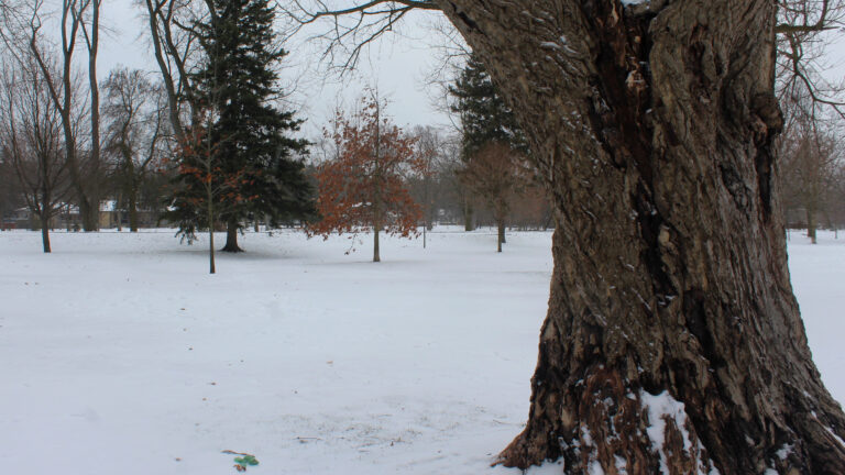 guelph-weather-124.jpeg