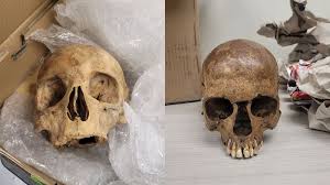 human-skull-found-6.jpeg