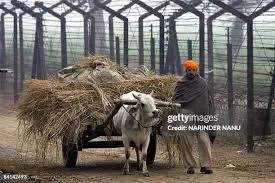 india-pakistan-207.jpeg