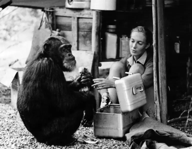 jane-goodall-174.webp